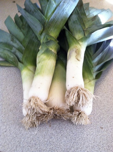 Creamy Leek and Potato Soup