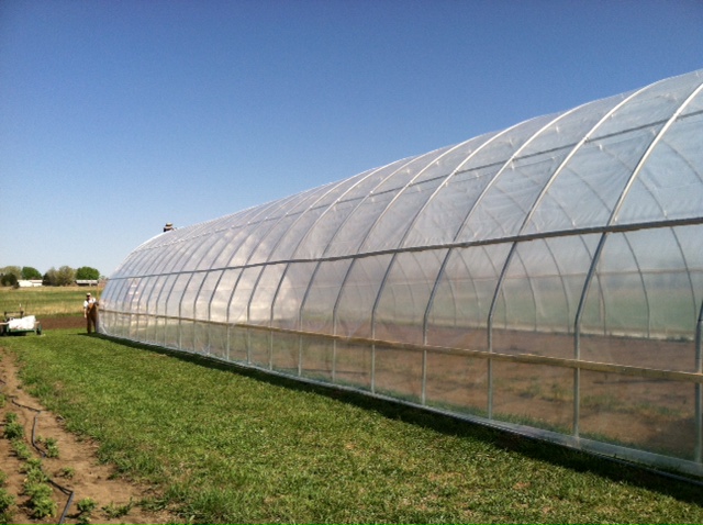 Hoop House Raising!
