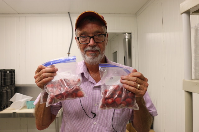 Jim holding bags frozen strawberries-1 Jim holding bags frozen strawberries-1