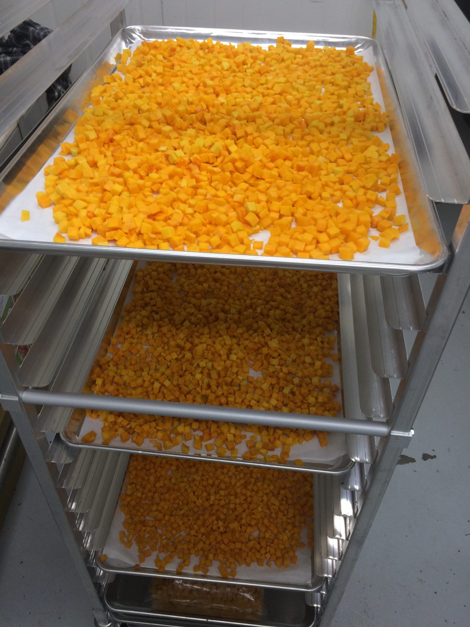 diced butternut squash ready to freeze