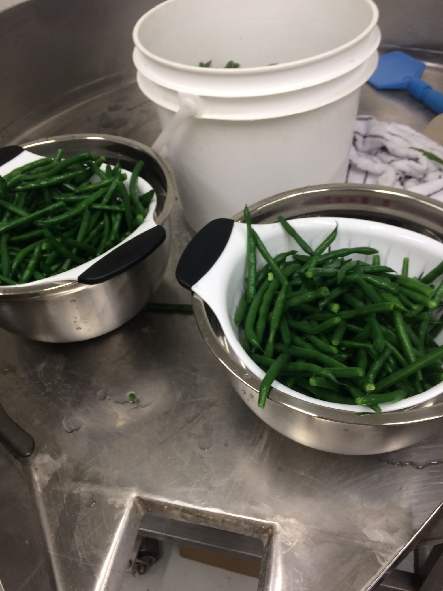drying green beans after blanching drying green beans after blanching
