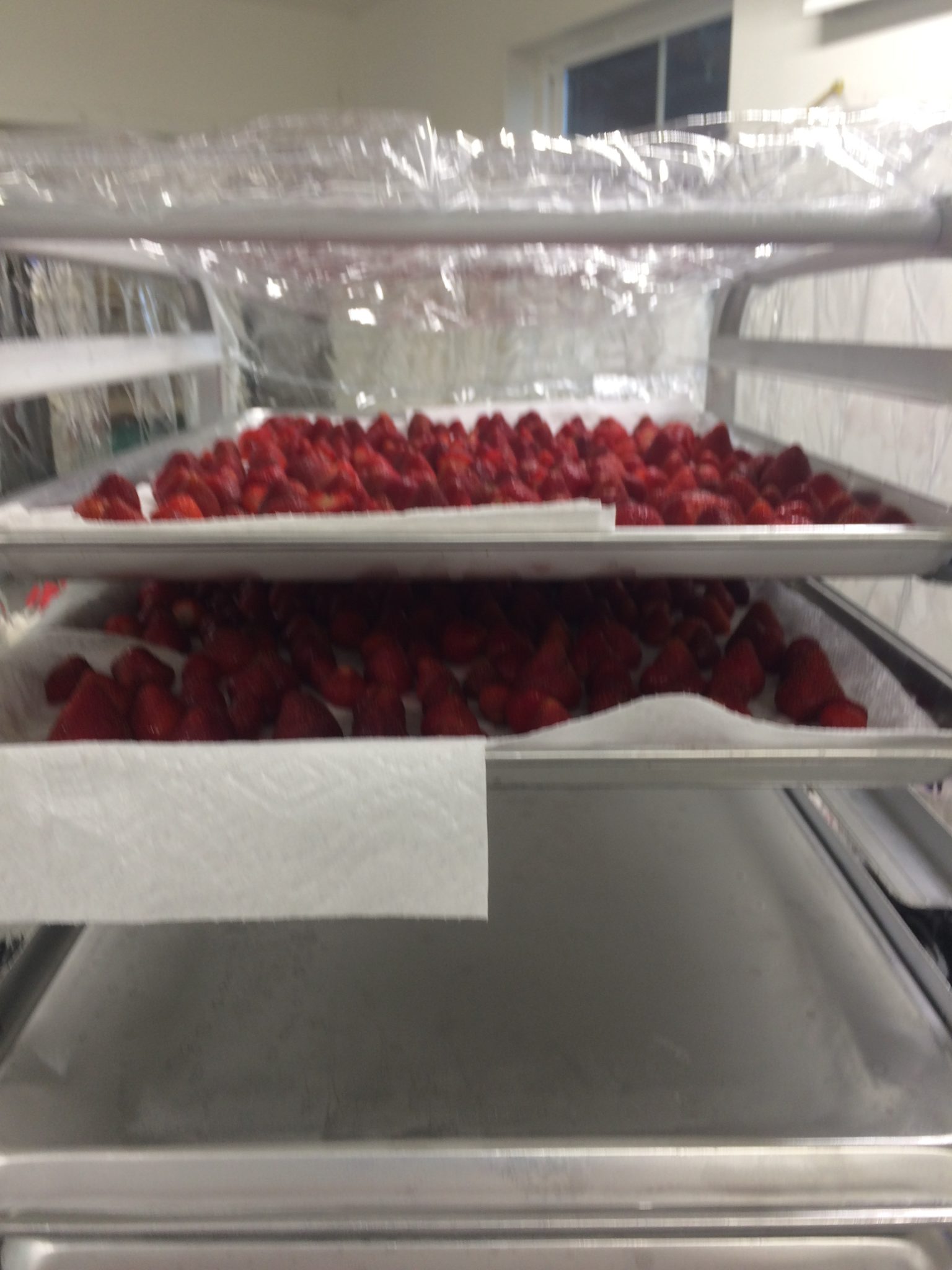 strawberries on trays strawberries on trays